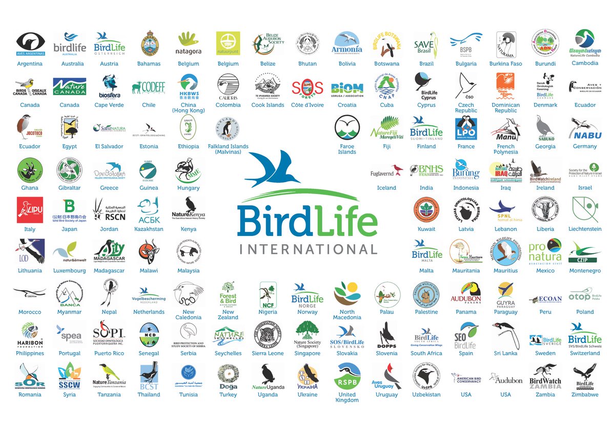 We are celebrating 7⃣0⃣ years of commitment and action in defense of birds, nature and human welfare 🌍🦆 Proud partners of the @BirdLife_News family 🤗