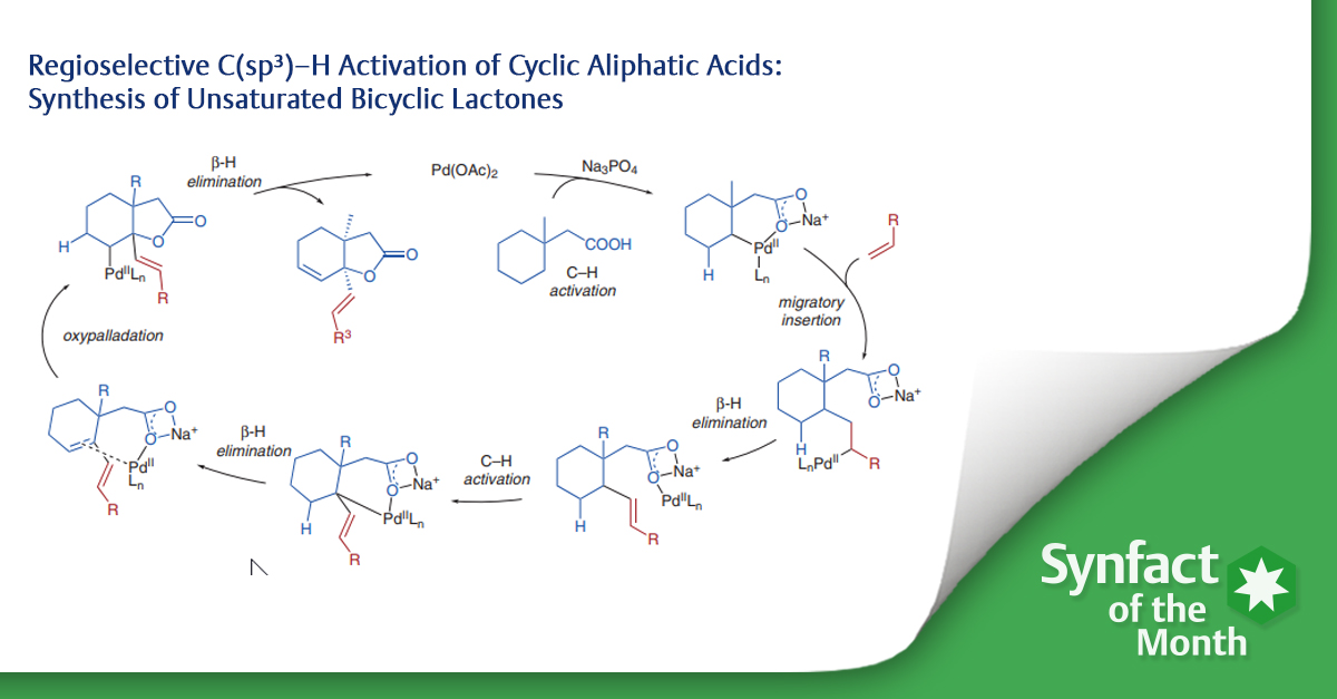 ❇️ In this Synfact of the month @MarkLautens (@TheLautensGroup) highlighted the ‘Regioselective C(sp³)–H Activation of Cyclic Aliphatic Acids: Synthesis of Unsaturated Bicyclic Lactones’ by Ge H, Zhang X, Maiti D and co-workers 🧐 👉 brnw.ch/21wJMWZ