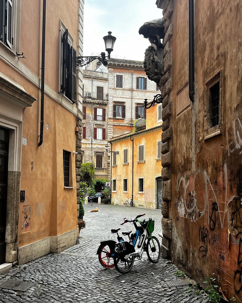 Via Giulia - Piazza dell’Oro 
ph @meraviglie_di_roma

#stradediroma #streetsofrome #walkinginrome
#sampietrino #sanpietrino #sampietrini #sanpietrini #selciatoromano #roma #rome #cobblestones #romancobblestone #sampietriniromani #sanpietriniromani