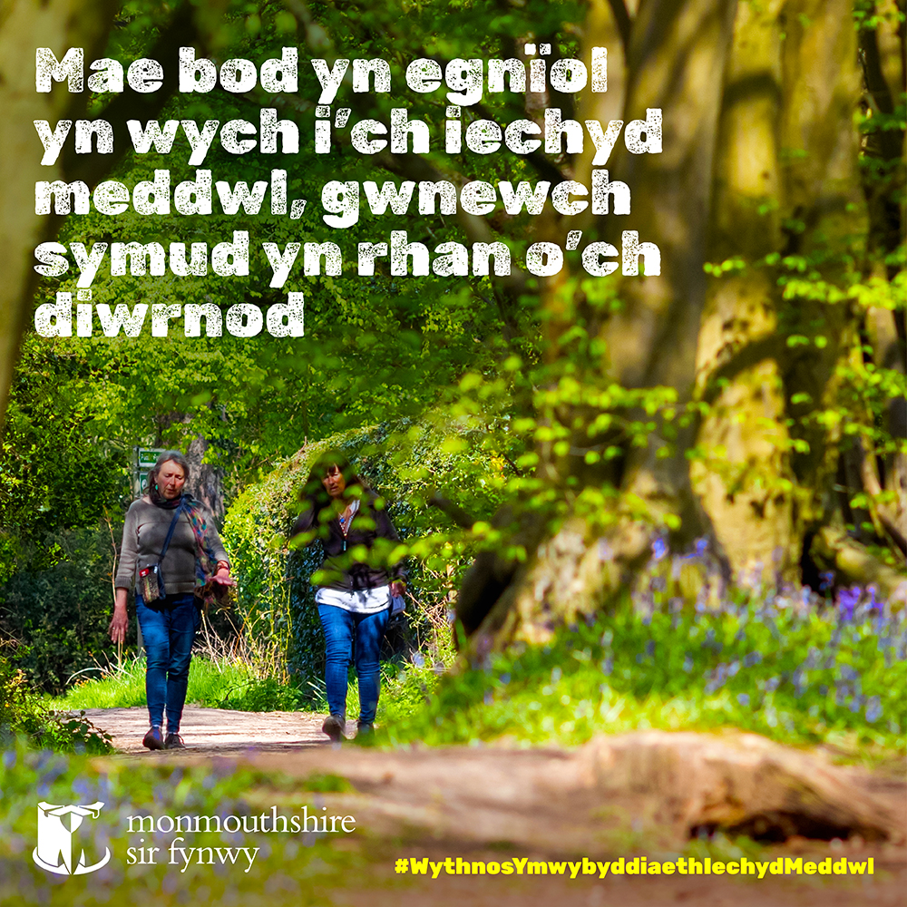 Mae ein sir wedi’i bendithio â natur a harddwch – Os gallwch chi, cymerwch beth amser yr wythnos hon i bwyllo a myfyrio 🌳🌲🌤️ #WythnosYmwybyddiaethIechydMeddwl #cerdded #iechydda #symud
👉 cy.visitmonmouthshire.com/archwiliwch-si…