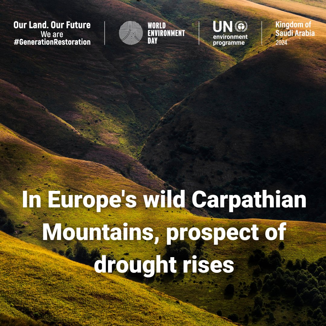 Protecting Europe's natural jewel: the Carpathian mountain range🗻 From biodiversity to climate resilience, learn how the #CarpathianConvention is leading the way for conservation and restoration👇 unep.org/news-and-stori…