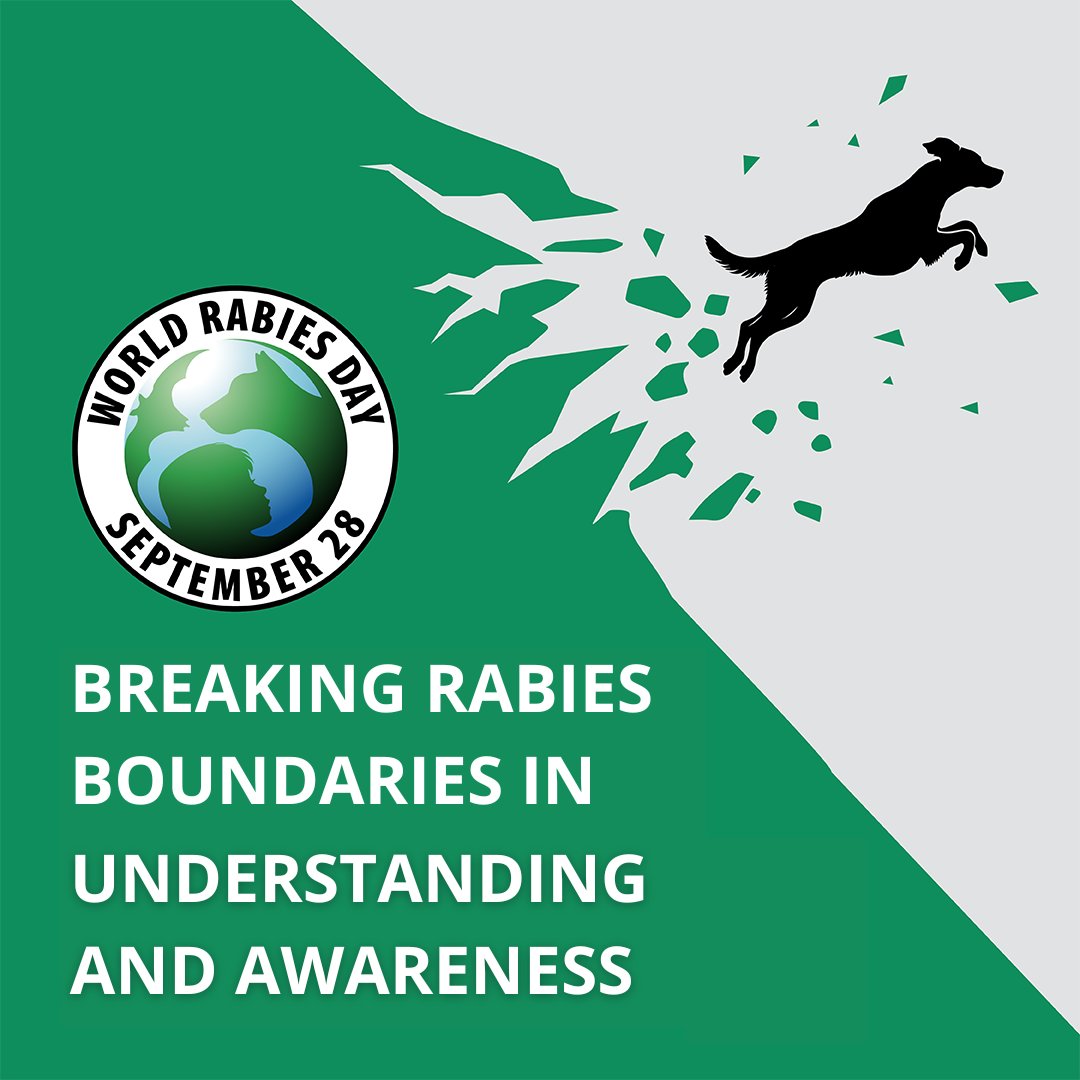 Ready to break boundaries in #rabies understanding and awareness? 🌟 Dive into our free, online, and self-paced courses on the GARC Education Platform! hubs.ly/Q02trmD20 Join us in #BreakingRabiesBoundaries for #WRD2024! 💻🐾 #WorldRabiesDay