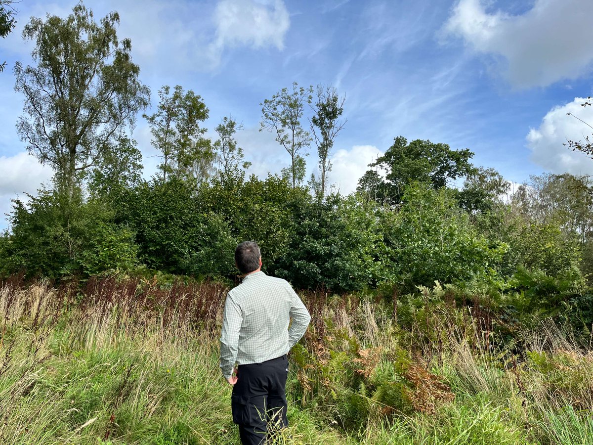 Did you join our live #TreeHealth Clinic last week as part of National #PlantHealthWeek?

We've shared the discussion on our blog to help you plan and manage healthy, resilient woodlands.

Thanks for joining us @KewScience, @Forest_Research & #Observatree

forestrycommission.blog.gov.uk/2024/05/15/pla…