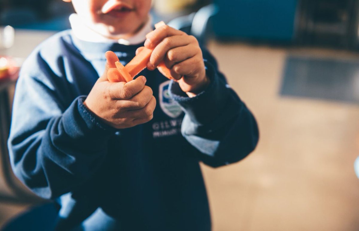 🥕 @foodsensewales is co-ordinating a project that aims to get more organically-produced Welsh veg into primary school meals across Wales #WelshVegInSchools 🥦 Read more here: orlo.uk/H0Wue @Health_Charity @goodfoodcardiff @mmewcav @castellhowell @bridging_gap_uk