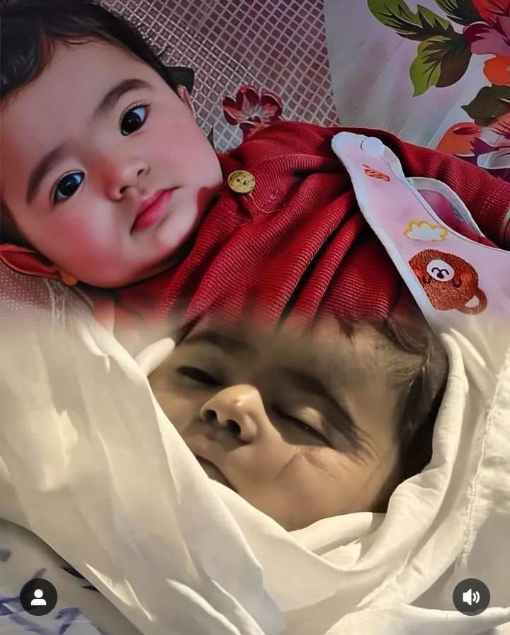 Astridueil's tweet photo. Rest in peace little bird💔 https://t.co/YqtCWGwy4L