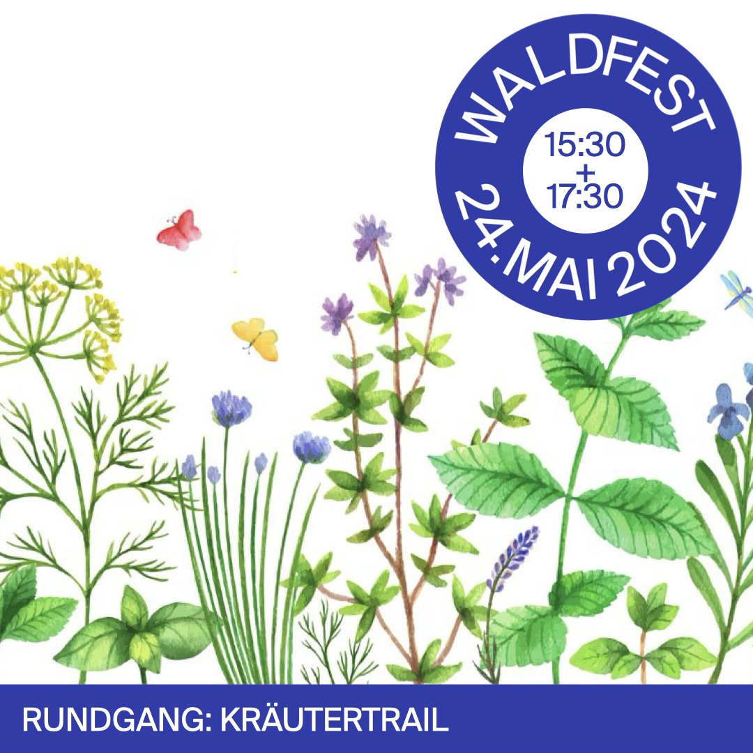 🪴 Rundgang: Kräutertrail 
Auf kleinsten Grünflächen und in Parks gedeihen zahlreiche #Heilpflanzen, die unserer #Gesundheit wertvolle Dienste erweisen. 
⏰ 24. Mai, 15:30, 17:30 → Treffpunkt: Infopoint-Theaterplatz

ℹ️ Programm: theaterplatz-quartier.ch/#waldfest

#theaterplatzquartier