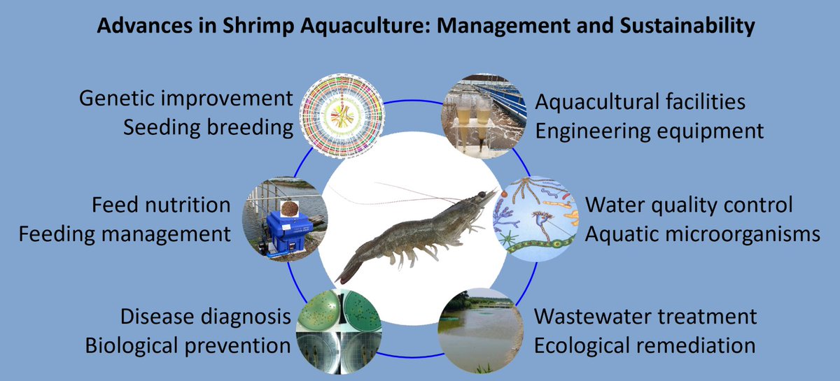 🥳 Fishes Open for #Submissions ✍️ Special Issue: Advances in Shrimp Aquaculture: Management and Sustainability 🧑‍🔬Guest Editor: Dr. Wujie Xu ⏱️ Deadline: 15 November 2024 👉 mdpi.com/journal/fishes…