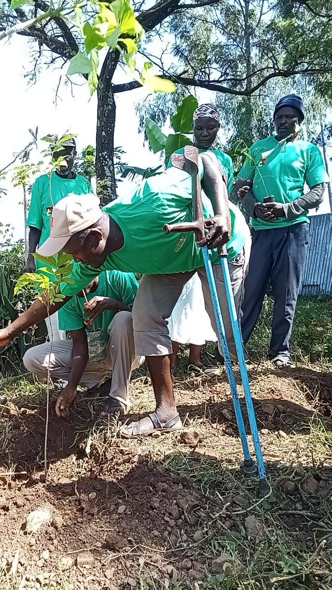 To propagate our Inclusive Climate Change Adaptation Project, we have began our tree planting drive in Nyando and have as well as given our beneficiaries assorted tree seedlings to plant at their homes. This will go a long way in countering #climatechange.
#DisabilityTwitter
