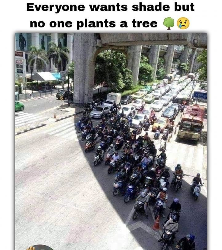 The photo speaks for itself 
#ClimateChange #SaveTheForests #GreenPlanet #SaveOurEarth #ProtectNature #SustainableLiving #ForestConservation #ClimateAction #GoGreen #SaveOurFuture