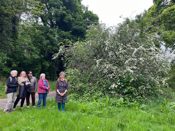 We had a gorgeous sunny walk on Monday with our Redhall walking group, around Colinton Dell. Flowers were on display everywhere, bringing a smile to everyone's face, reminding us of the healing power of nature #mentalhealthawarenessweek #greenhealthweek
