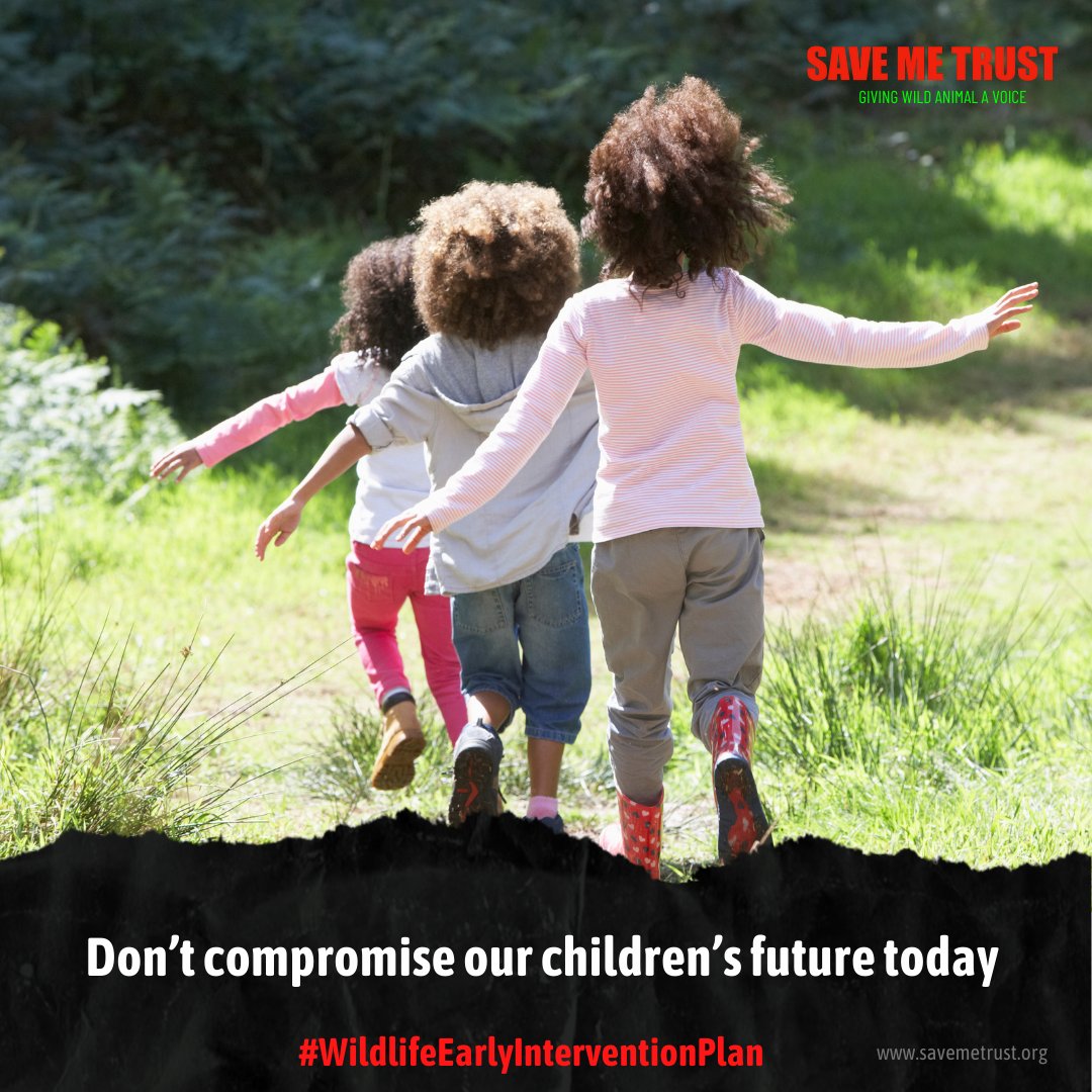Don't compromise your children's future. Make space for wildlife look at our 'Wildife Early Intervention Plan' where we support wildlife during a development. Making homes for all species is the only way forward, for us, our wildlife and the planet savemetrust.co.uk/our-work/wildl…