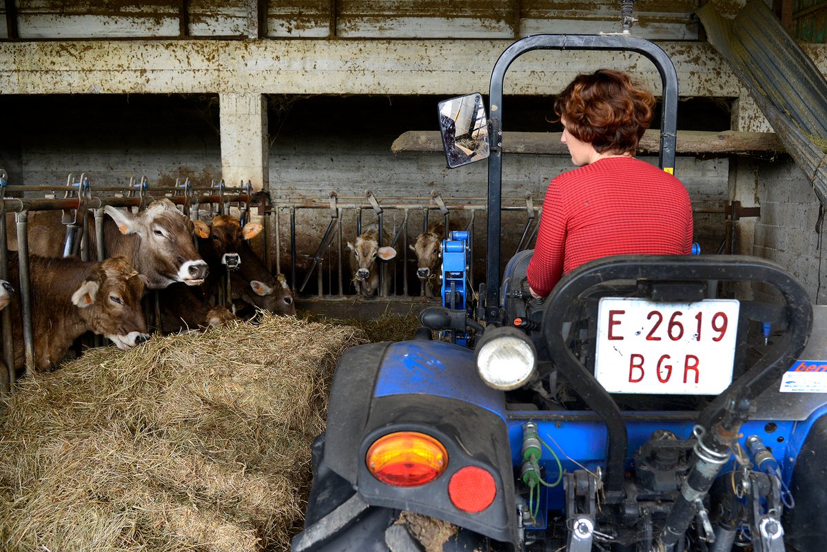 🚜🗓️ Hoy, día de San Isidro, queremos poner en valor el trabajo que realizan nuestros agricultores/as y ganaderos/as. El sector agrario de Euskadi es un modelo sostenible, respetuoso con el medio ambiente y con un producto local y de calidad. Zorionak eta eskerrik asko!