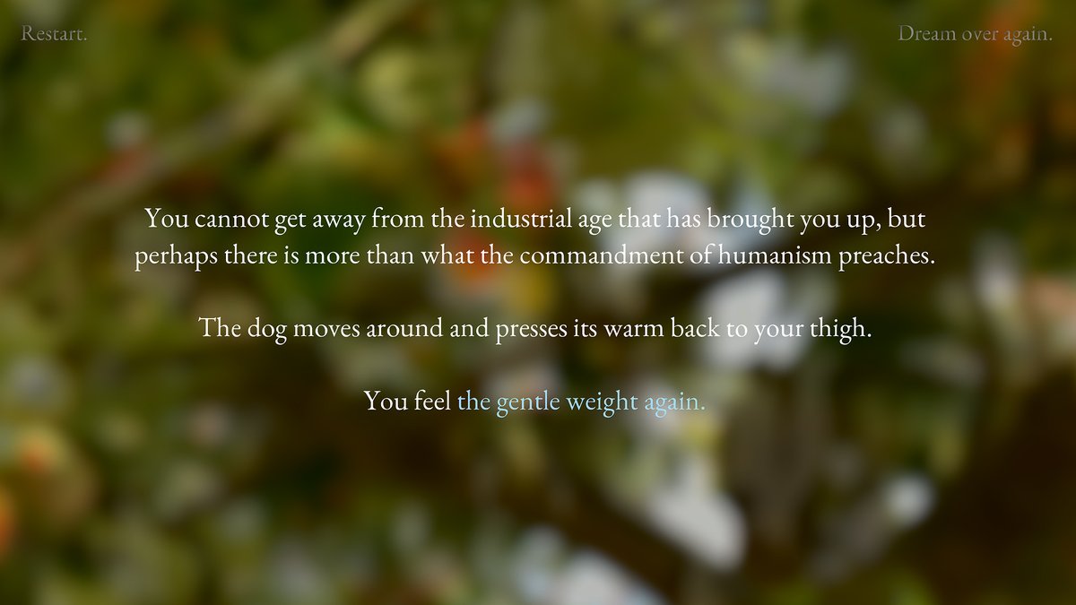 Ondřej Trhoň 🐍 ༼ つ ◕_◕ ༽つ tweet media