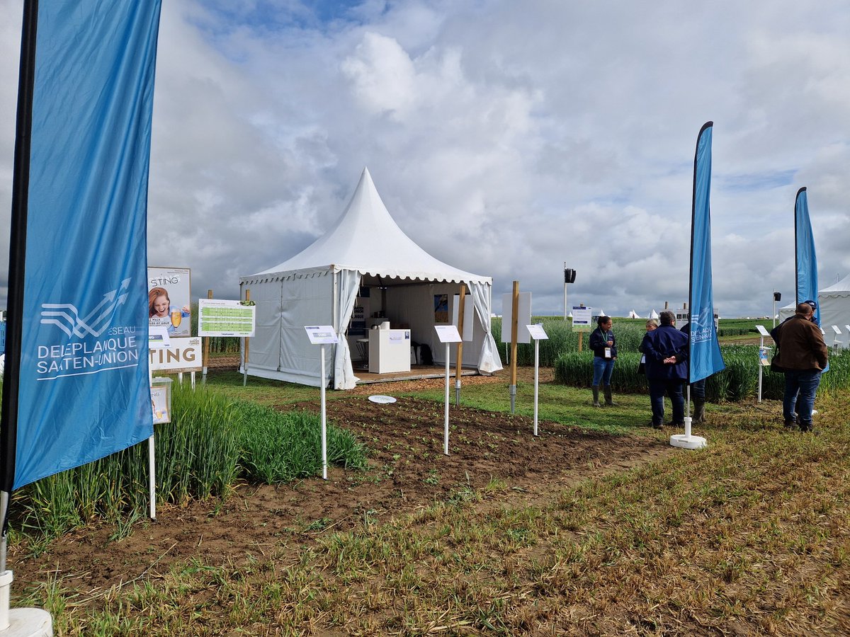 SaatenUnionFr's tweet image. #TerresInnovation2024
C&apos;est parti pour 2j ! Toute l&apos;équipe du Réseau Deleplanque Saaten-Union vous attend stand C48-54 pour échanger avec vous autour de nos solutions variétales 🌾🌱☘️