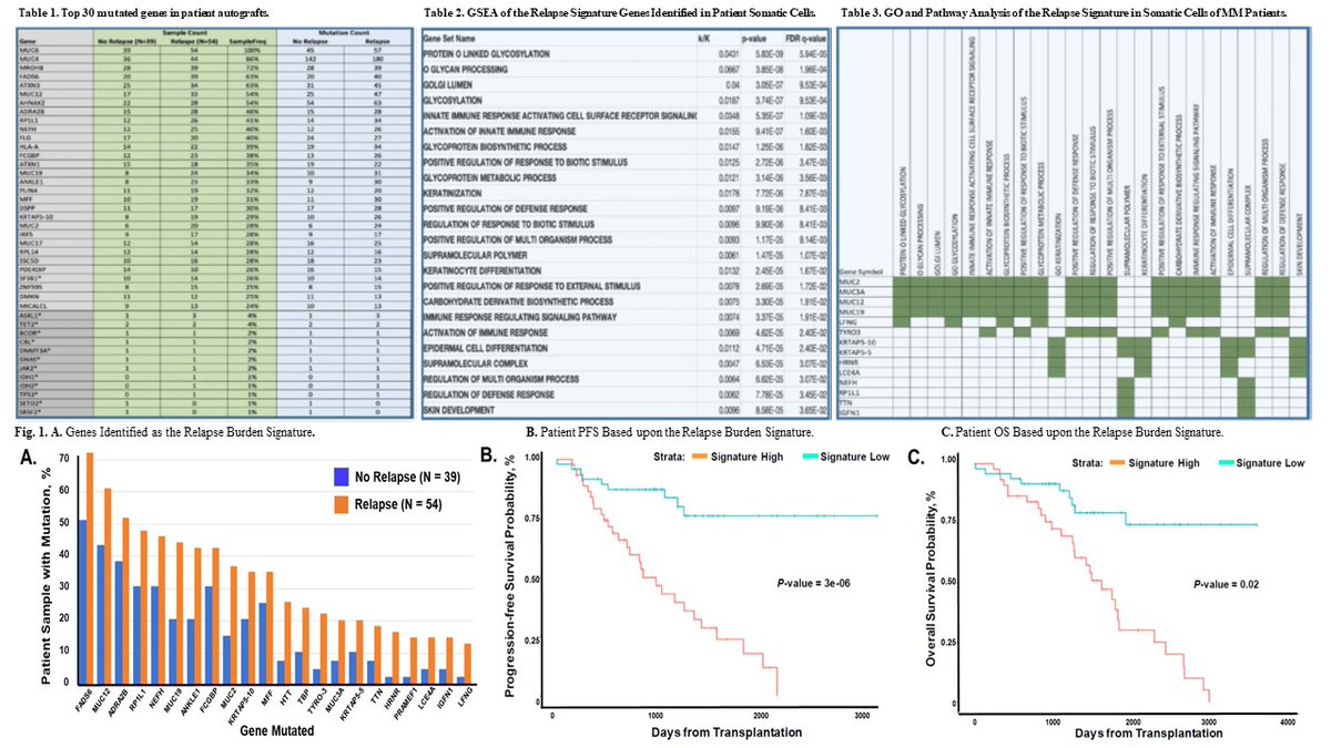 Whole-Exome Sequencing Identifies a Somatic Cell Mutation Signature That Predicts Relapse Risk and Survival Probability in Multiple Myeloma [Dec 5, 2020] @EhsanMalekMD et al. #ASH21 Abstract 1355 ow.ly/tZPE50Iwy7I #mmsm #cagenome