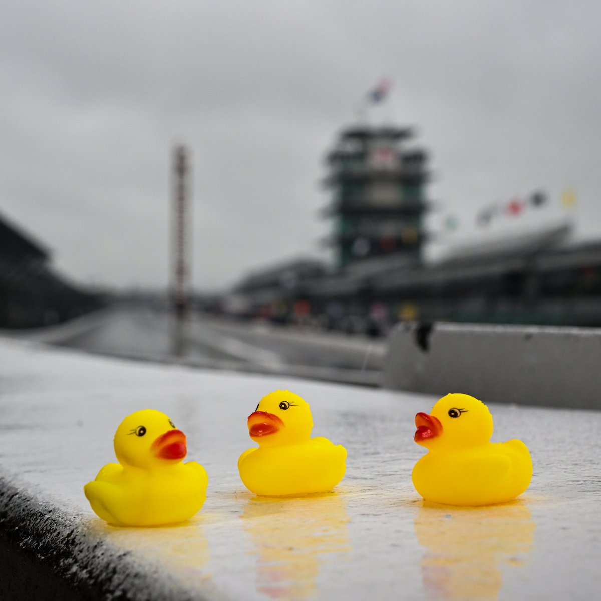 The start of #Indy500 practice is currently on hold due to rain and wet track conditions. Stay tuned to Peacock for additional updates.