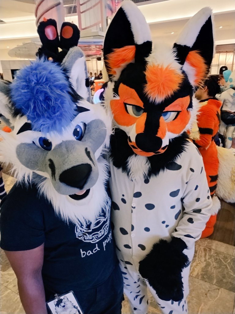 Winter Wolf ❄️ 🐺❄️ (@winterwolf366) on Twitter photo More pics I got from #FWA2024 with <a href="/TellKangaroo/">Tell</a> <a href="/Lee_Pyram/">Lee Pyram 🔜 @leepyram.bsky.social</a> <a href="/Taristin/">Taris</a> and <a href="/JetstreamWolf/">Frisky 🦨 Skunkdog 🐶 ➡️ Megaplex</a>
Great to see you guys again 💙
Frisky you gave me bunny ears??!! :C More pics I got from #FWA2024 with <a href="/TellKangaroo/">Tell</a> <a href="/Lee_Pyram/">Lee Pyram 🔜 @leepyram.bsky.social</a> <a href="/Taristin/">Taris</a> and <a href="/JetstreamWolf/">Frisky 🦨 Skunkdog 🐶 ➡️ Megaplex</a>
Great to see you guys again 💙
Frisky you gave me bunny ears??!! :C
