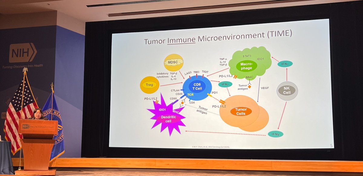 Simon Young (@siwyoung) on Twitter photo Proud to see our <a href="/MDA_UTHGrad/">MD Anderson-UTH Grad</a> PhD student @SungaGema doing an incredible job presenting her work at the <a href="/theNCI/">National Cancer Institute</a> @NIDCR Immuno-Oncology Translational Network meeting at <a href="/NIH/">NIH</a> discussing the tumor immune microenvironment in preclinical models of oral cancer! #weareutsd Proud to see our <a href="/MDA_UTHGrad/">MD Anderson-UTH Grad</a> PhD student @SungaGema doing an incredible job presenting her work at the <a href="/theNCI/">National Cancer Institute</a> @NIDCR Immuno-Oncology Translational Network meeting at <a href="/NIH/">NIH</a> discussing the tumor immune microenvironment in preclinical models of oral cancer! #weareutsd