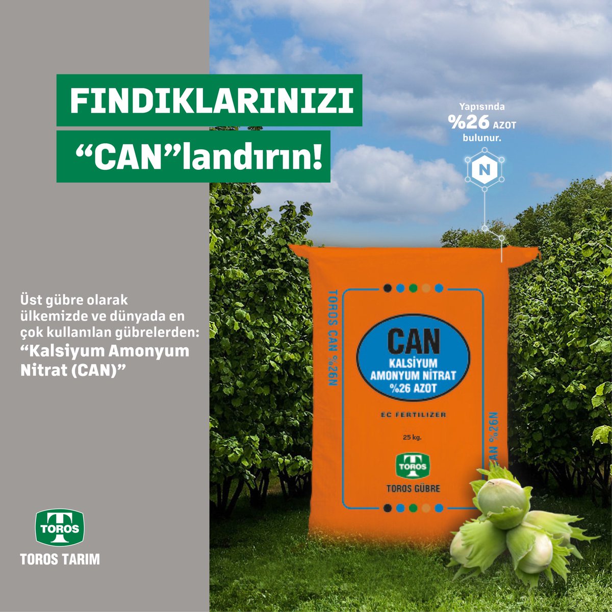 Üst gübreleme zamanı yaklaşan fındıkta %26 N CAN Gübresi’nin tercih edilmesi önerilir. Üst gübre olarak ülkemizde ve dünyada en çok kullanılan azotlu gübrelerden birisi Kalsiyum Amonyum Nitrat (CAN) Gübresidir. Siz de CAN Gübre ile fındık yetiştiriciliğinde bir adım öne çıkın!