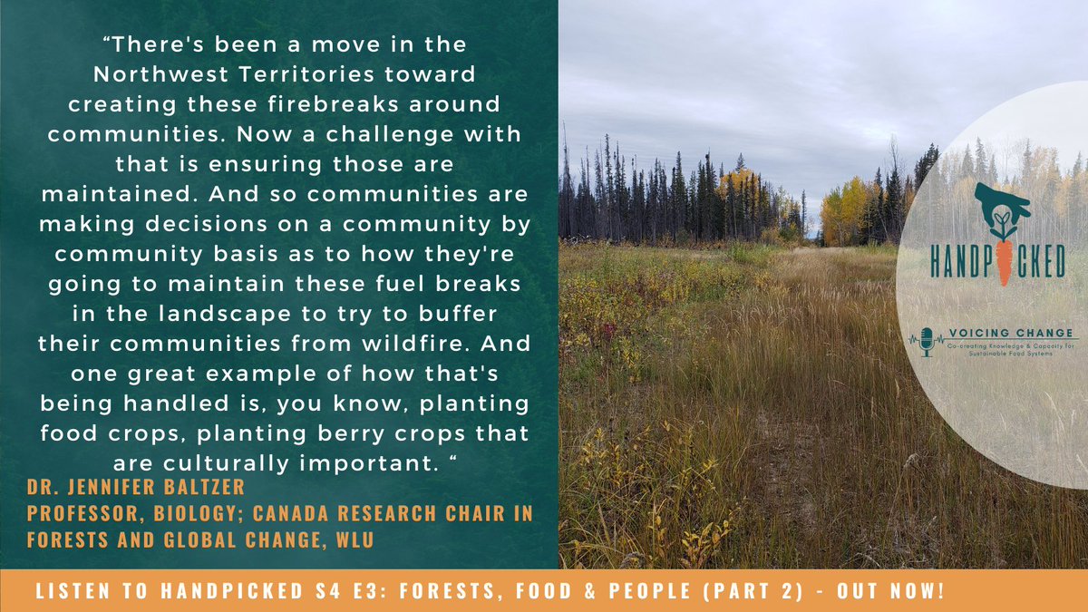 Just a reminder, Season 4, Episode 3 was released on Monday.

Dr. Jennifer Baltzer speaks about how communities in the NWT are adapting to wildfire threats by creating fire breaks and the opportunities this presents.

Listen to the full episode here:  researchcentres.wlu.ca/centre-for-sus…