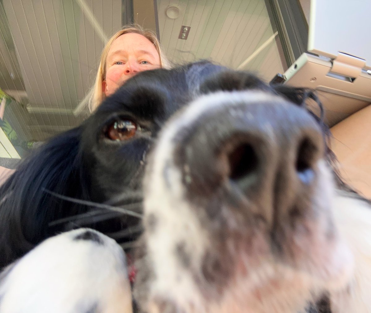 Kivasti sain ikuistettua ensimmäiset terassilla yhdessä istuskelut kun tein töitä sohvalla🤪

#selfie