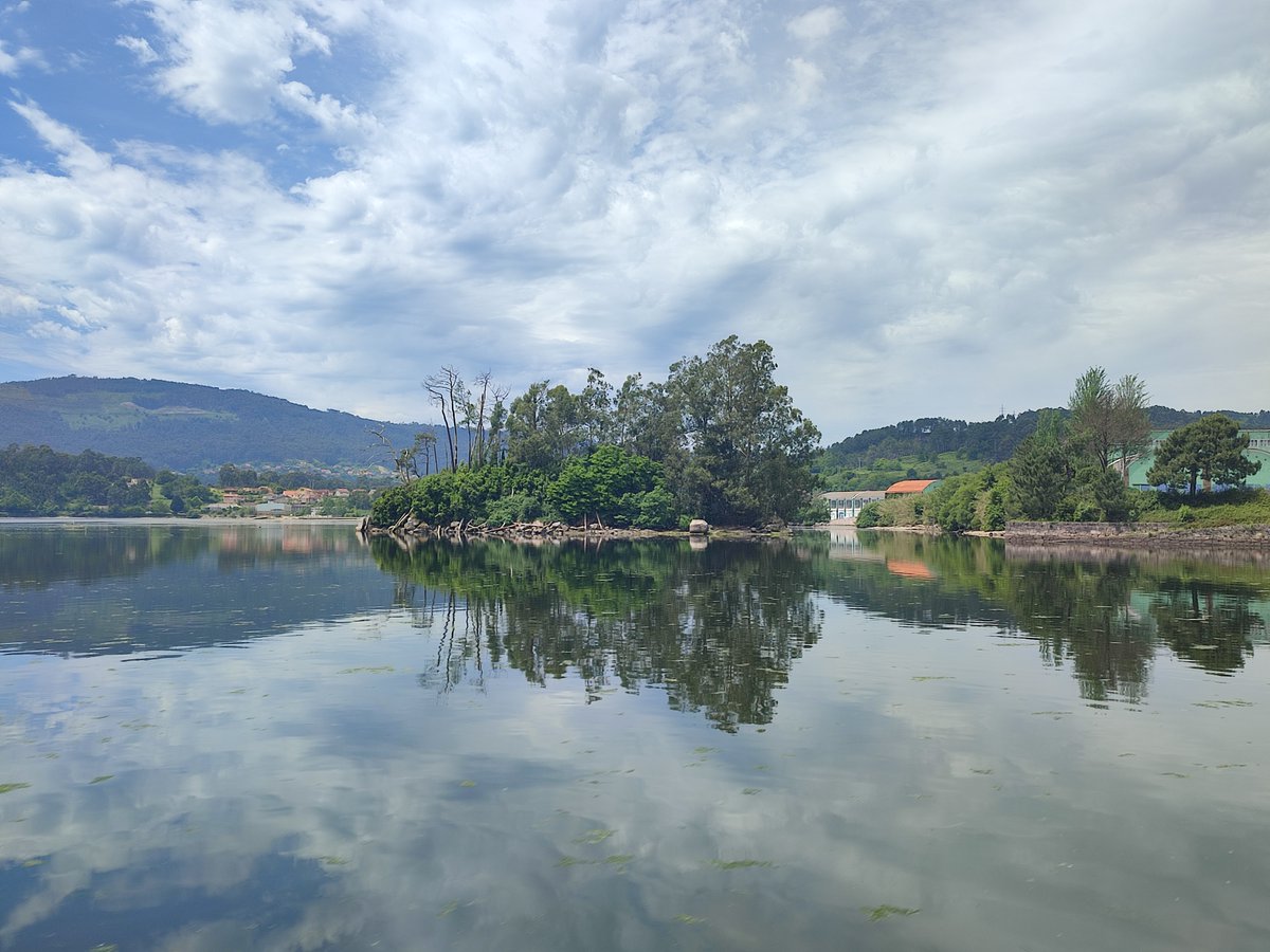 #reflejos #riadevigo