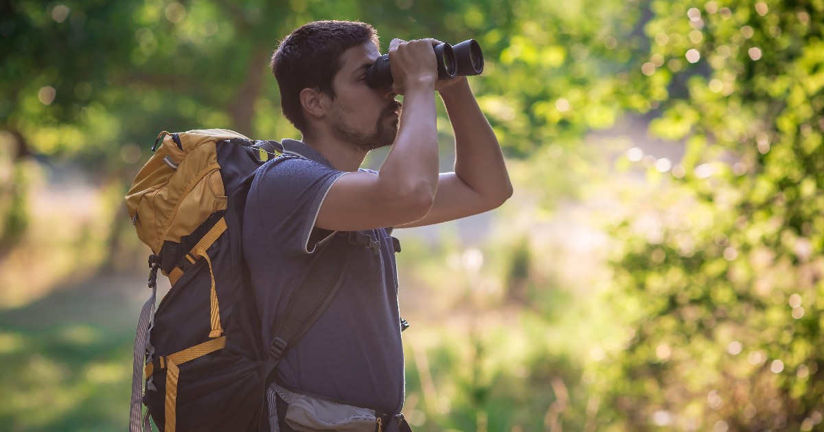 Do you enjoy birding? Explore your own backyard and have fun learning about the species that are out on a seasonal basis. Read our Birding Guide today at visitwindsoressex.com/birding to learn more on how to spot birds across #YQG