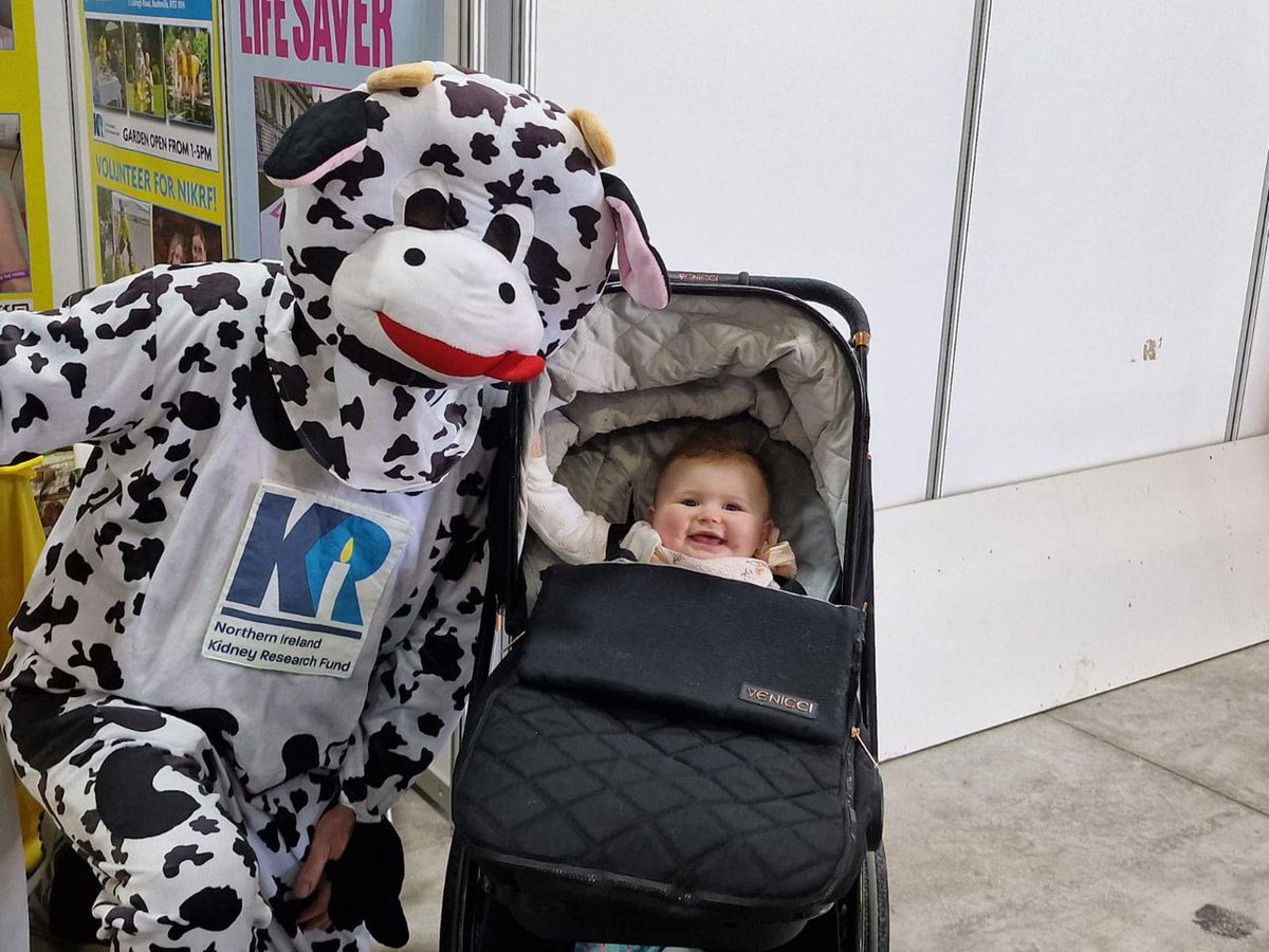 Kidney Cow Bella is making lots of new friends 🐮😃 #balmoralshow #stand47
