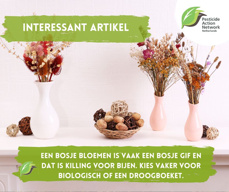 Een bos bloemen brengt grote milieubelasting met zich mee, transport,energieverbruik,watergebruik, kunstmest,pesticiden. Op een bos bloemen komt een grote dosis pesticiden terecht, veel meer dan op groenten en fruit. Bovendien zijn de regels minder streng

dvhn.nl/duurzaam/Schon…