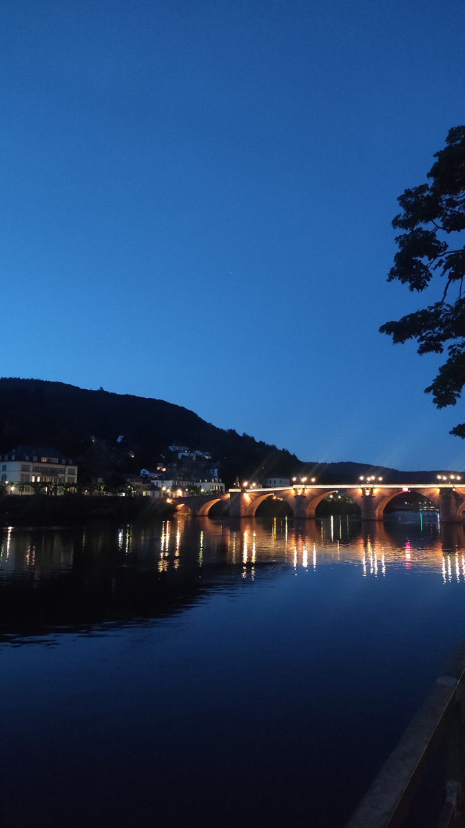 I am delighted to have the opportunity to join and contribute with my talk on 'The Impact of Community Composition on Bacterial VOCs-mediated Arabidopsis Growth Promotion' at the @embl @EMBLEvents - @COSHeidelberg Workshop on Plant Macro- and Microbiomes in beautiful Heidelberg!