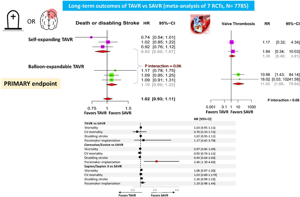 A new study published in @myJSCAI and presented at #EuroPCR demonstrates the long-term safety and efficacy of a minimally invasive procedure to replace the aortic valve in the heart—#TAVR—compared to #SAVR. Read more ➡️ doi.org/10.1016/j.jsca… @PCRonline