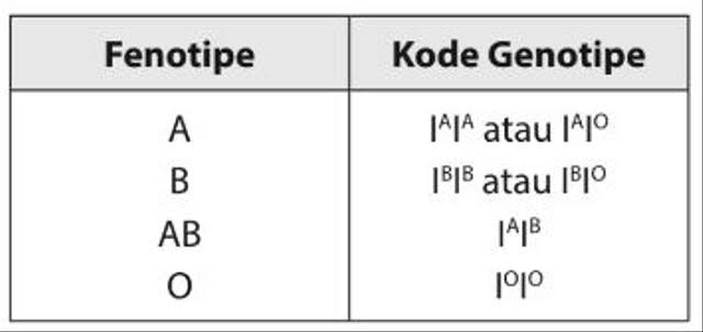 @allowballl @tanyakanrl goldar itu ngga sesimpel A, B, O, AB kakk. di biologi itu aku belajar genotipe (cmiiw aku udah lupa juga soalnya udah lama) nah ortuku itu yang iAiO bukan iAiA makanya adekku bisa O 👍🏻