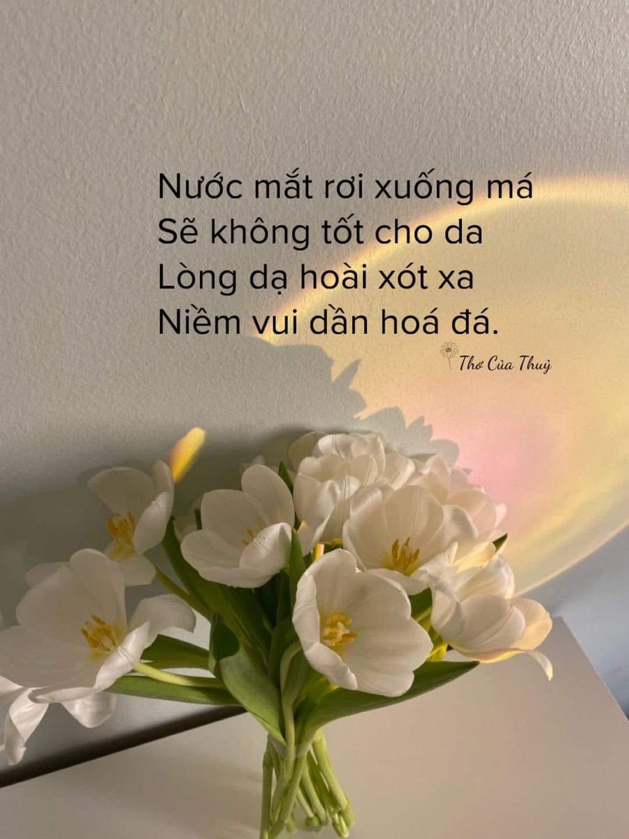 Hà Thu tweet media