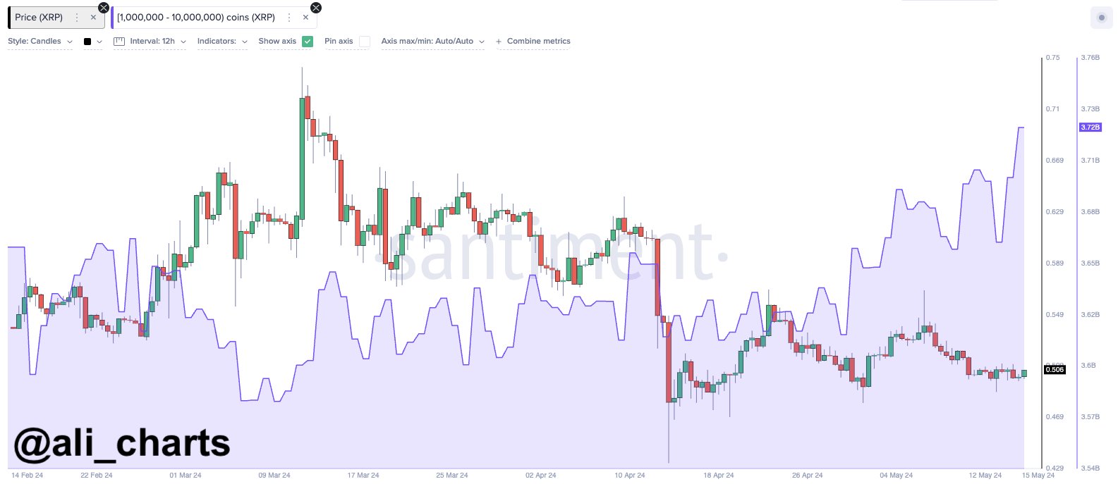 XRP & Cardano Whales Load Up Bags: Preparation For Altcoin Rally?