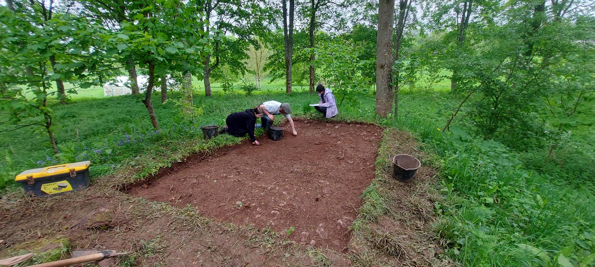 We're storming ahead on day 3 of #LowtherMedievalCastle, with Trench 6 uncovering the interior of the ringwork castle &amp; Trench 7 the mound at the SE corner of the ringwork (could this be the site of a watchtower over the village?). 1/2