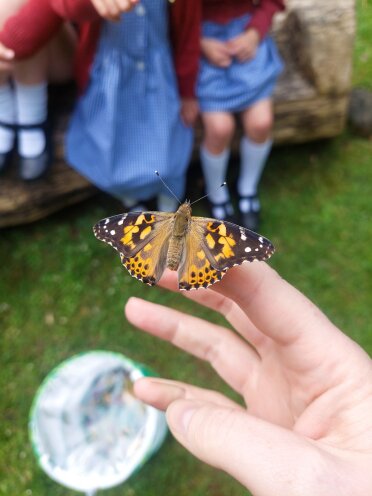 And just like that they are off 🦋 There has been a lot of excitement in Primary One @stgeorgesedin  this week. Today was butterfly release day! The children have carefully watched each stage of their lifecycle and were so excited to free them today. #aVoiceforAmbition
