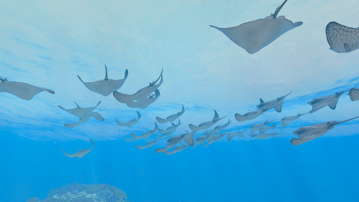 本日のダイビングから #フォーエバーブルールミナス #ForeverBlueLuminous #NintendoSwitch 