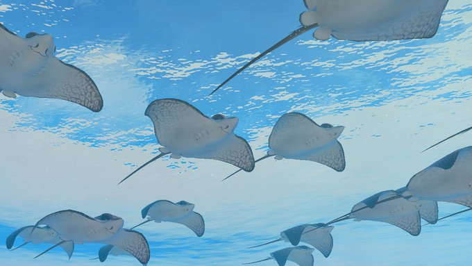 本日のダイビングから #フォーエバーブルールミナス #ForeverBlueLuminous #NintendoSwitch 