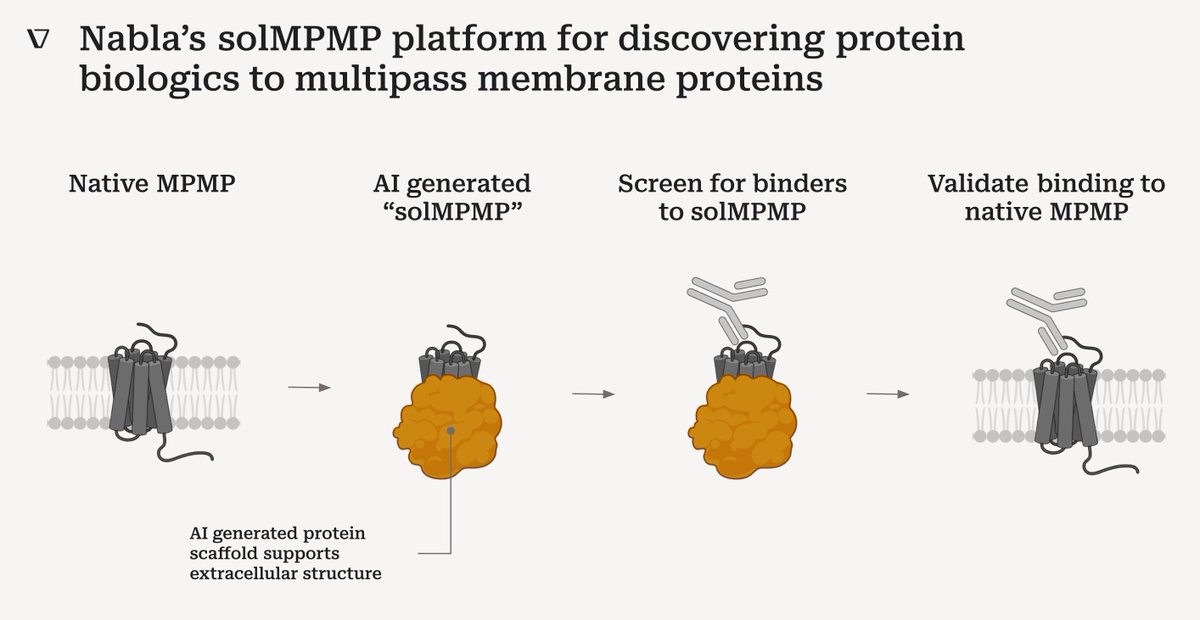 I’m speaking today at @PEGSboston, 5:10 pm, Eng Antibodies. Talk will cover new “solMPMP” tech from @nablabio where we use generative ML to create soluble proxies of valuable multipass membrane protein drug targets, and use these proxies to facilitate design of new biologics.