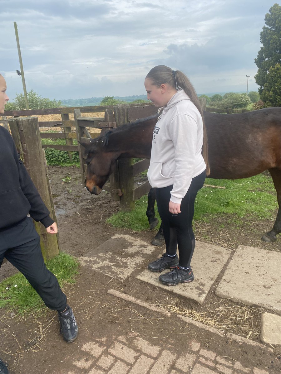 What an amazing last day for our Horse Riding Group. They have achieved their NPA SCQF Level 4 in Horse Care. Bis thanks to @PSOSGlasgowCity and The Scottish Racing Academy for this amazing opportunity. The group also got interviewed by STV News. 
@StAndrewsRCSec 
@AmandaFare