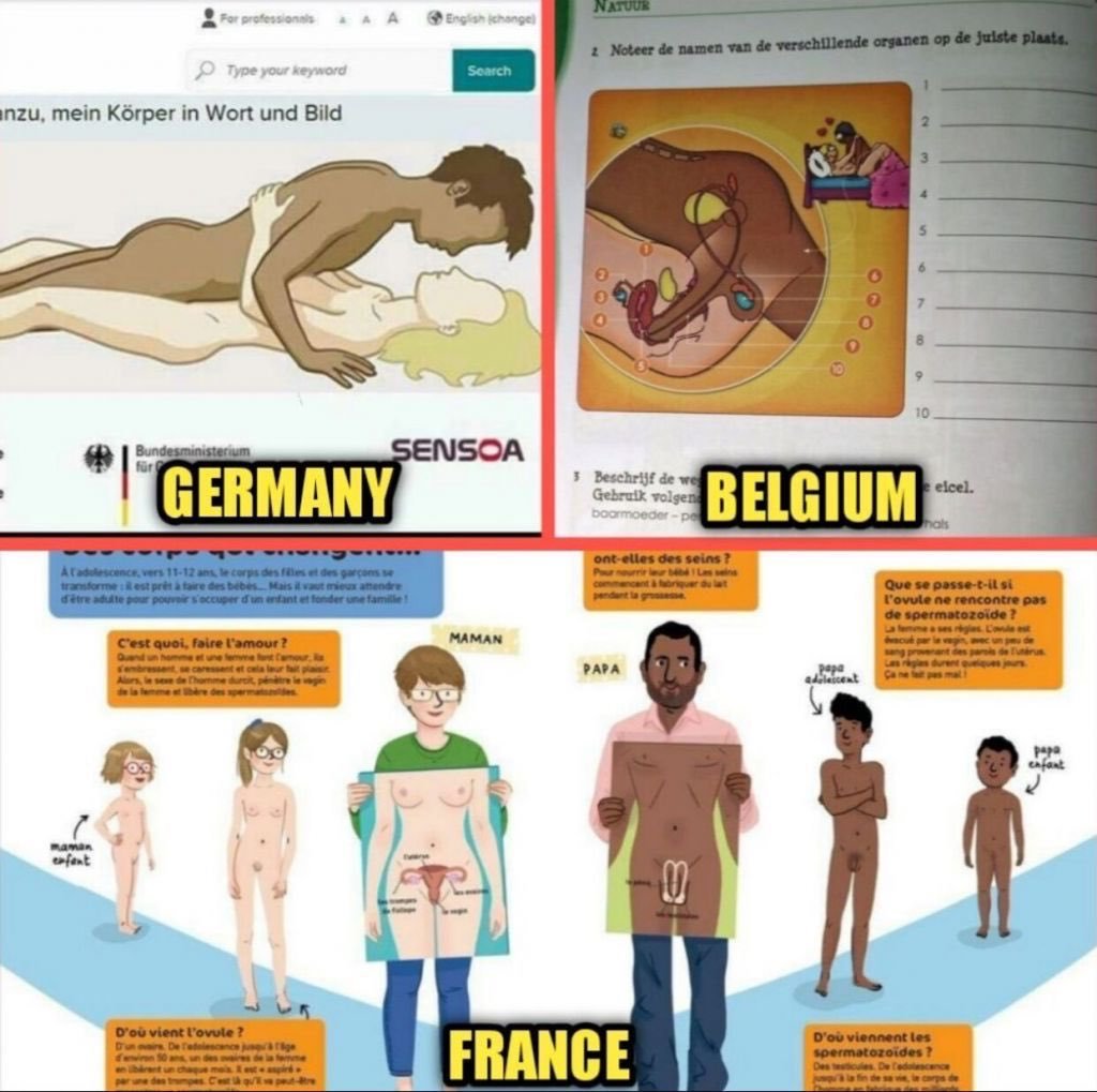 Les cours d'éducation sexuelle en Allemagne, Belgique et en France.

Que remarquez-vous ?