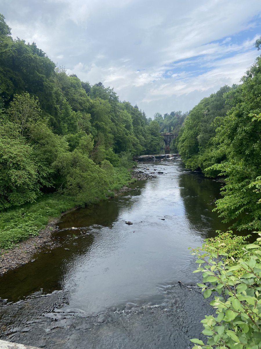 Day 3 complete ✅ for #BuchananHS #SilverDofE practice. Great work by all over the 3 days meeting checkpoints, and demonstrating their excellent expedition training. 🥾🌲#ThisIsYouthWork #DofE #BecauseofCLD @BuchananParent @StAmbroseBucha1 @NLCYouthwork @DofEScotland @gillianCLD