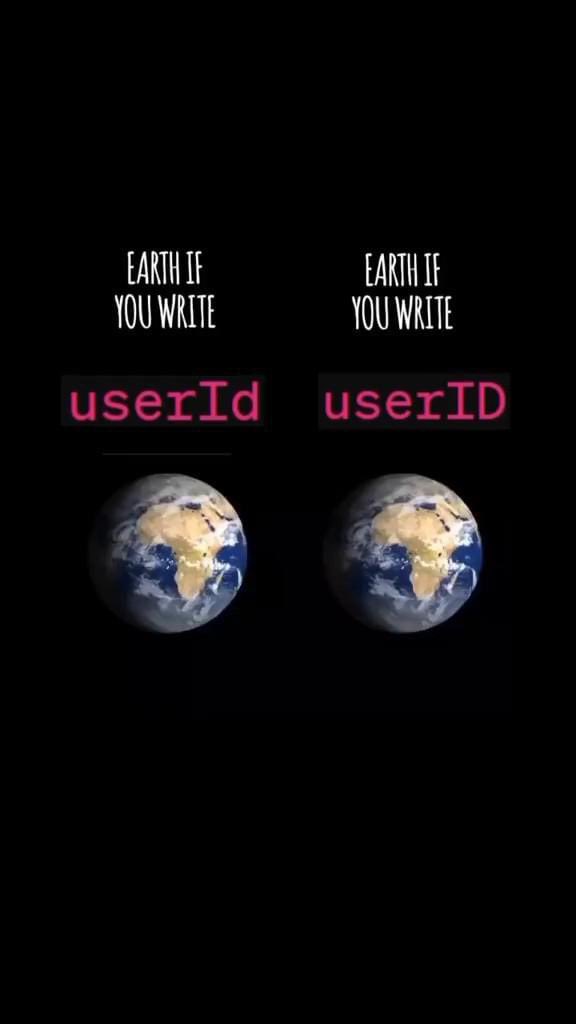 As a programmer - is it userId or userID ?