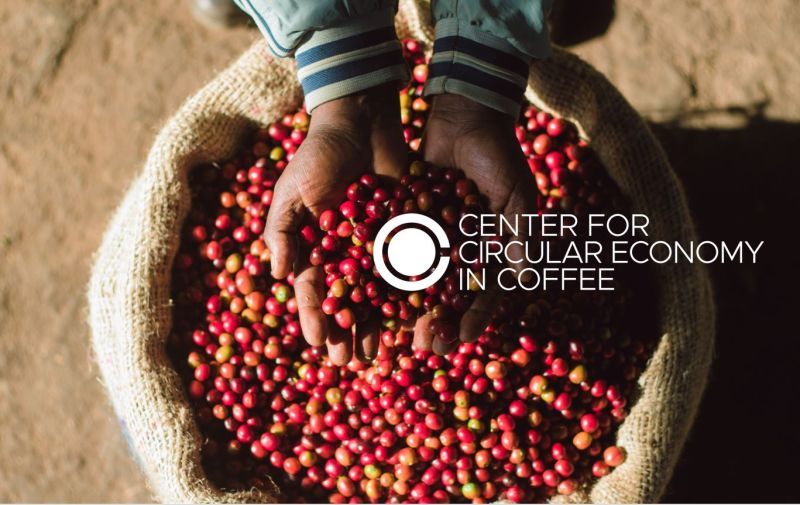 Join C4CEC & transform 40M tons of biowaste into sustainable business! 🌱♻️ 🔑Open to research partners, civil society, investors, & more. 🌍 Apply by May 31 for a global impact! 🔗 Link to PR: icocoffee.org/documents/cy20… #Center4CircularEconomyInCoffee #CircularEconomy #Coffee