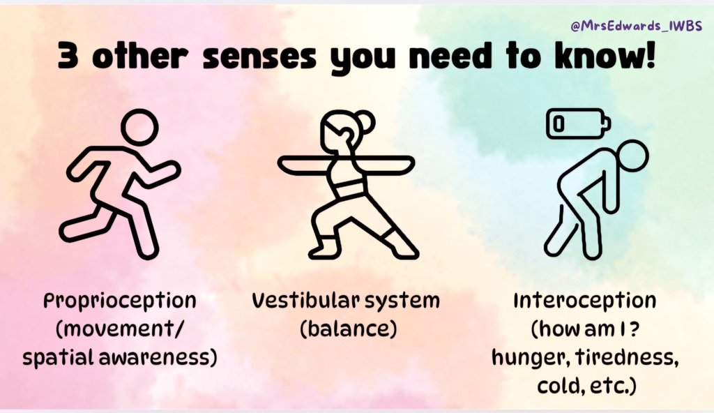 Most of us learn at school that we have 5 senses, but we actually have 8 (some scientists argue we have more!). It's really important to understand the other 3 senses when working with children with sensory profiles.#sensoryintegration #supportsensorydevelopment #neurodivergence