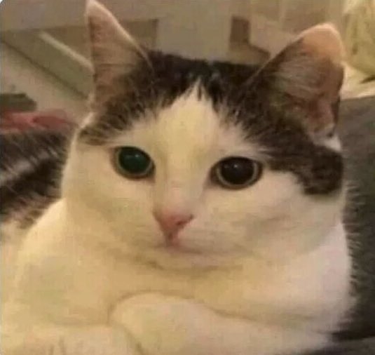 Me acordé de cuando estudiaba medicina y nos estaban explicando cómo íbamos a hacer uso del laboratorio con material cadavérico y una chica dice “yo soy vegana, que se hace en estos casos?”. Se hizo silencio y el profesor la miró así