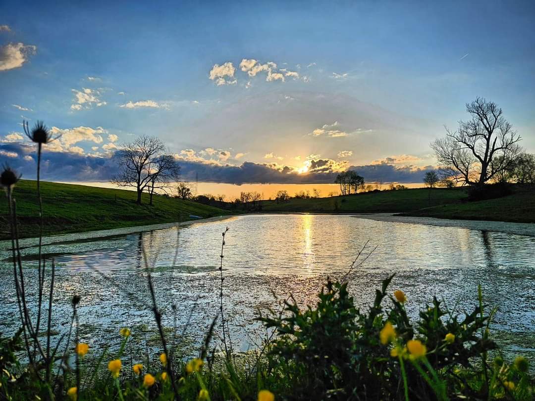 Sunset across the water in Winchester, Kentucky, by @kentuckygirl_UK