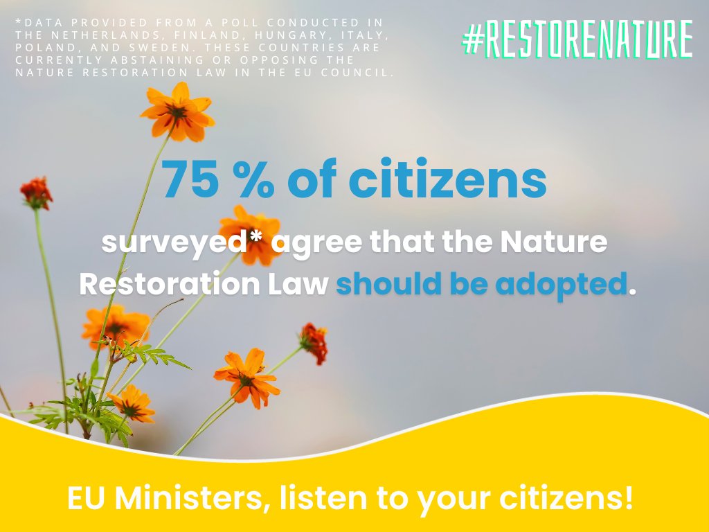 ⚠️ EU countries opposing the Nature Restoration Law are failing to meet public opinion. A survey from NL, FI, HU, IT, PL and SE shows that 3 out of 4 citizens support the law. 📣 Governments: time to listen and #RestoreNature now! Find out more here👇birdlife.org/news/2024/05/1…