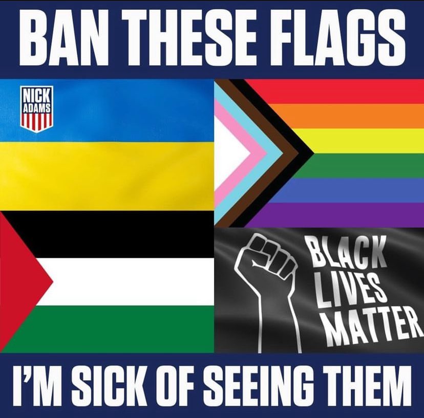 This is America 🇺🇸! Ban these flags ‼️👇