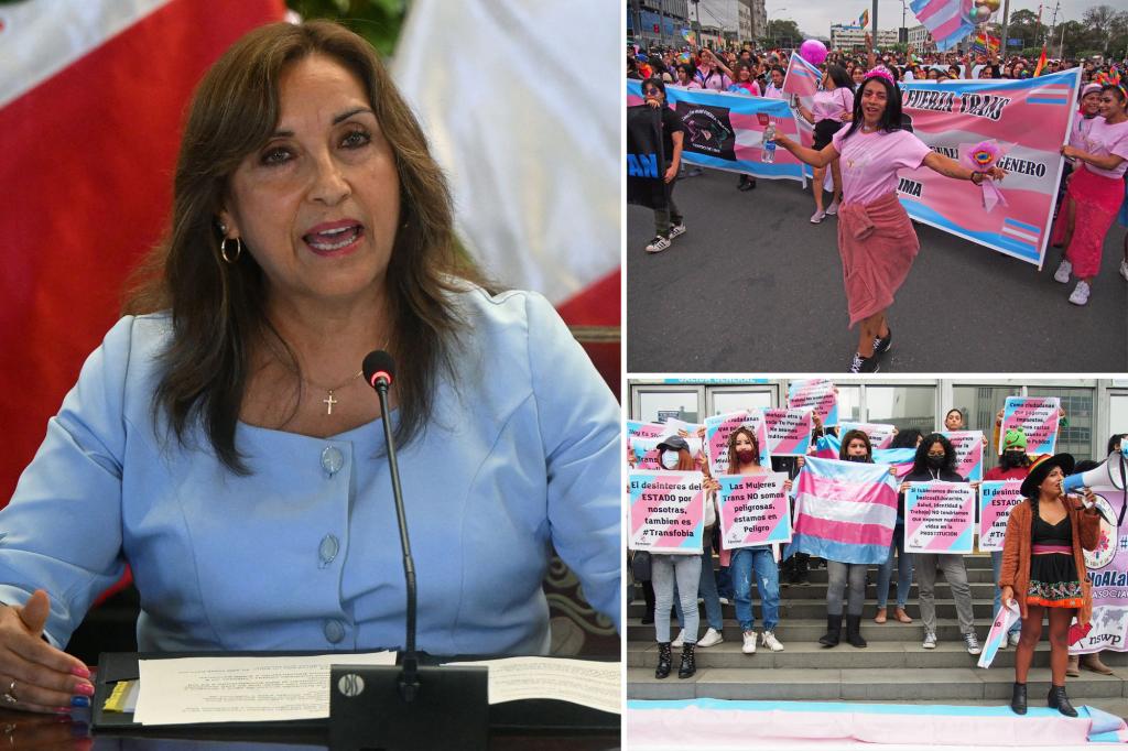 nypost's tweet image. Peru classifies trans, intersex people as ‘mentally ill’ trib.al/KkSVept